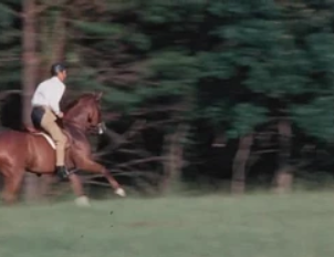 Athletics and Recreation