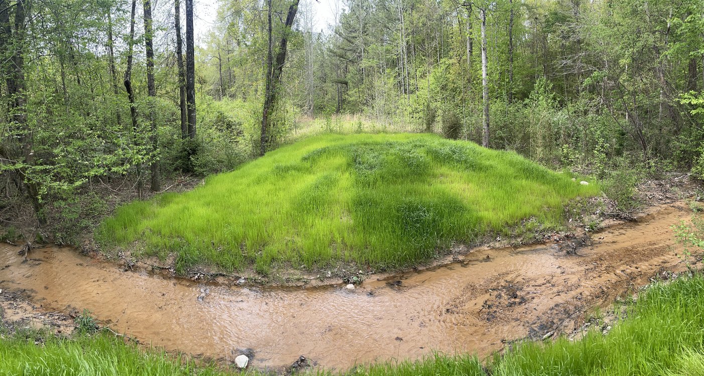 Big Sandy Mitigation Bank, Phase 2 project