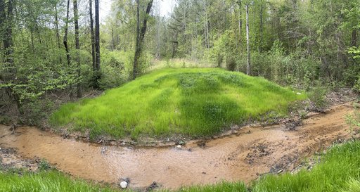 Stream at Big Sandy Mitigation Bank Phase 2