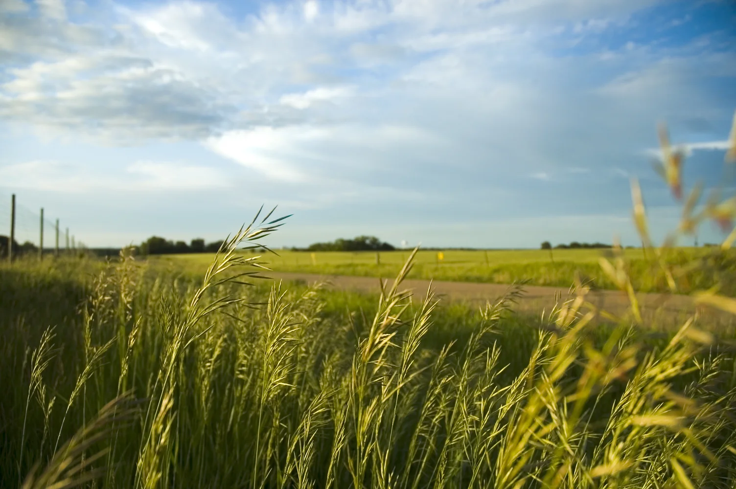 ThinkstockPhotos-144210066