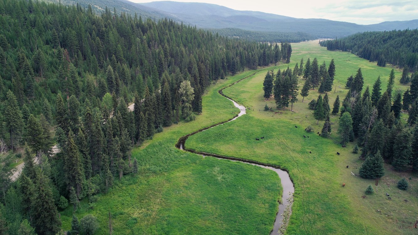 Thompson Wetland and Stream Mitigation Bank project