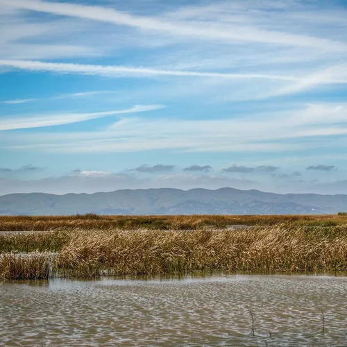 Tule Red_landscape_2