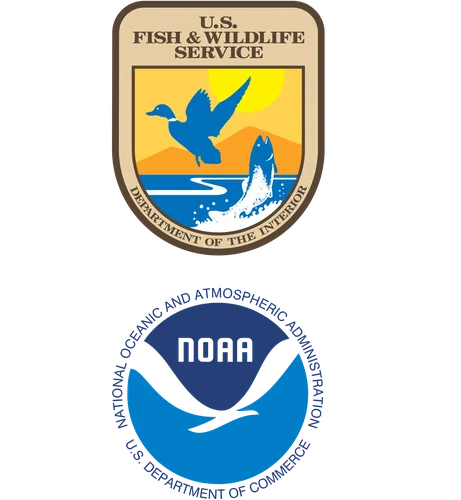 USFWS and NOAA