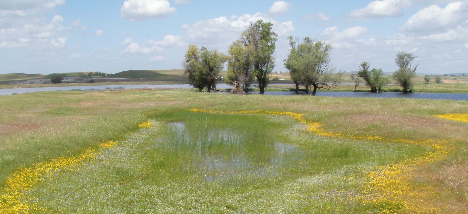 Van Vleck Mitigation Bank project