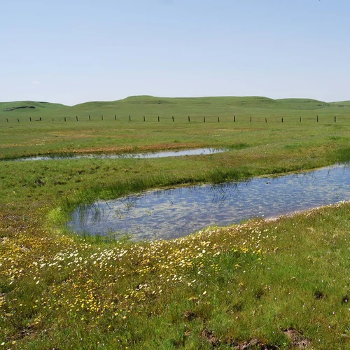 Van Vleck 2017-03-30 141