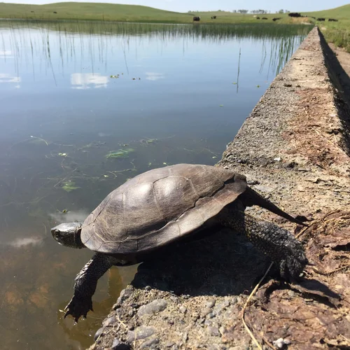 Van Vleck 2018-05-03 005