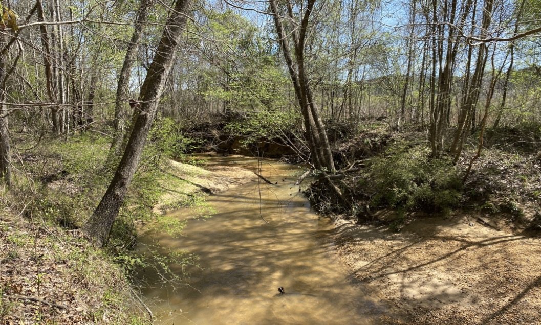 Walton Creek Mitigation Bank project