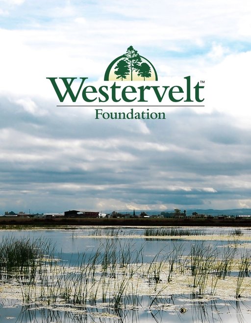 Westervelt Foundation website page card
