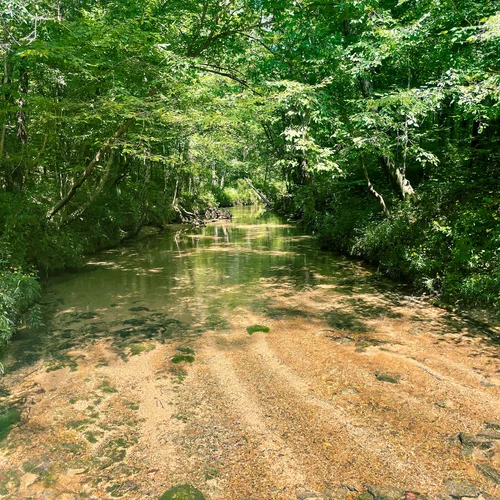 Westervelt_Stream_2021_2