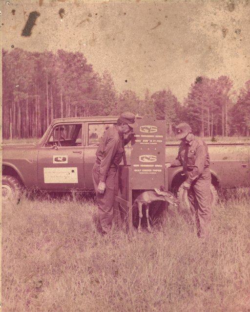 Wildlife Management (1)