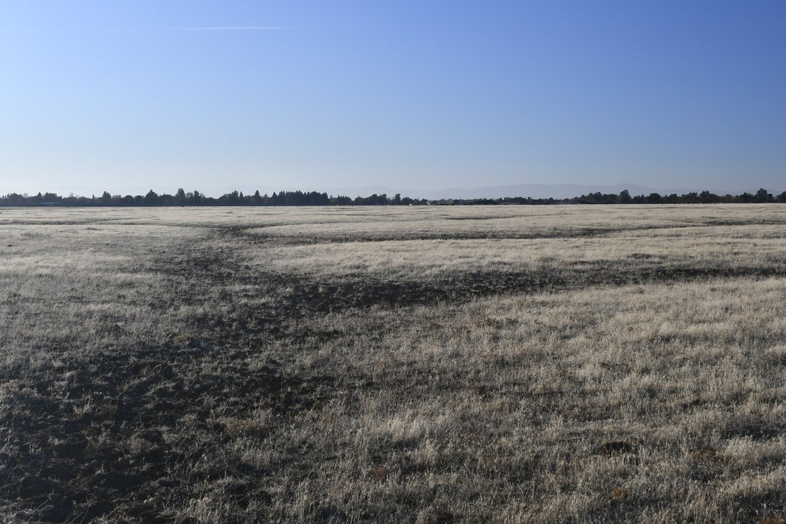 Sycamore Creek Conservation Bank project