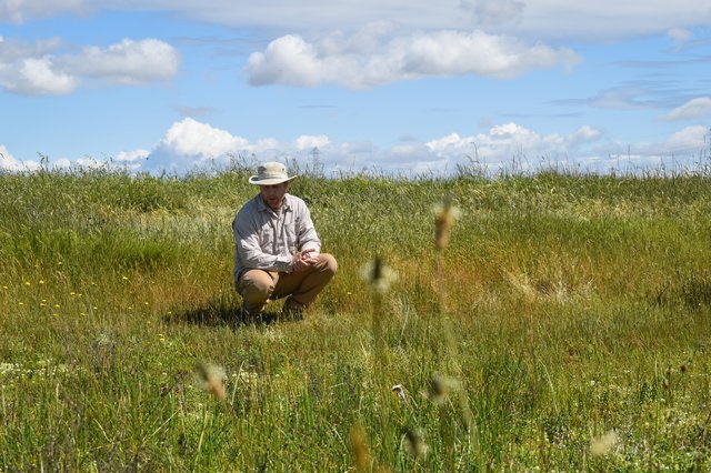 about-land-stewardship