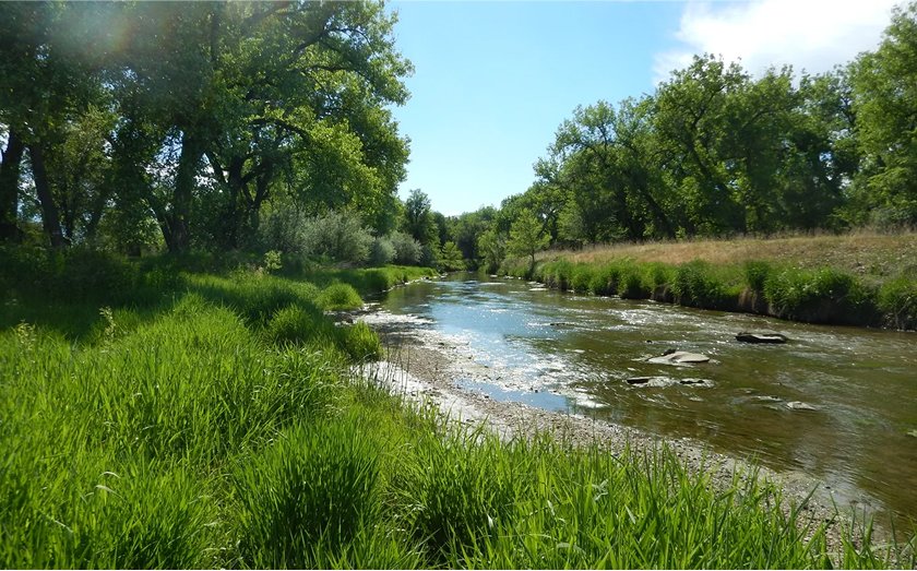 Big Thompson Confluence Mitigation Bank project