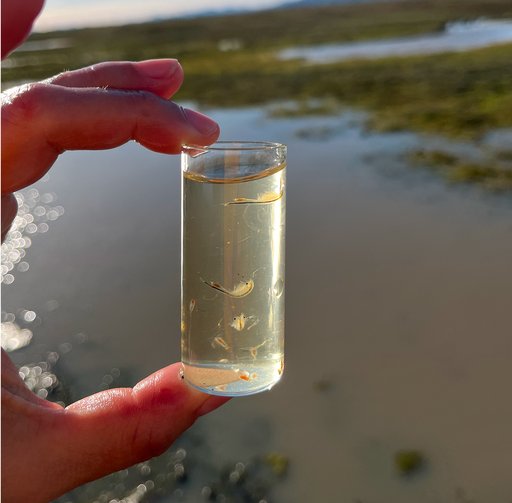 card-large-ecologial-services