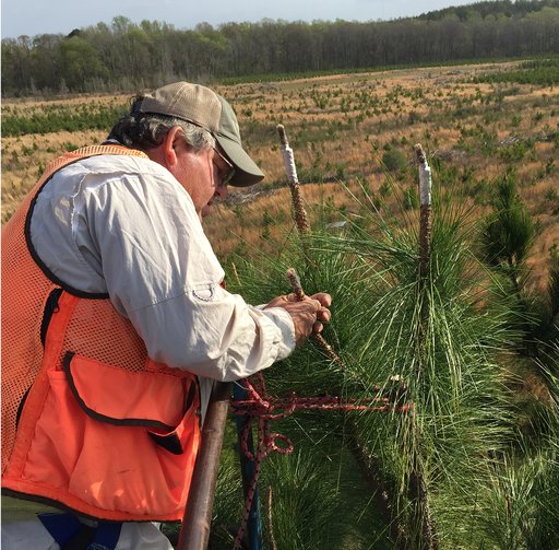 card-large-forest-resources