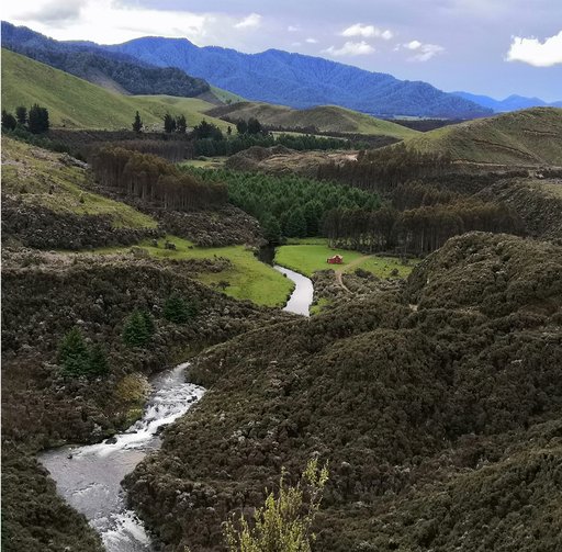 card-large-new-zealand