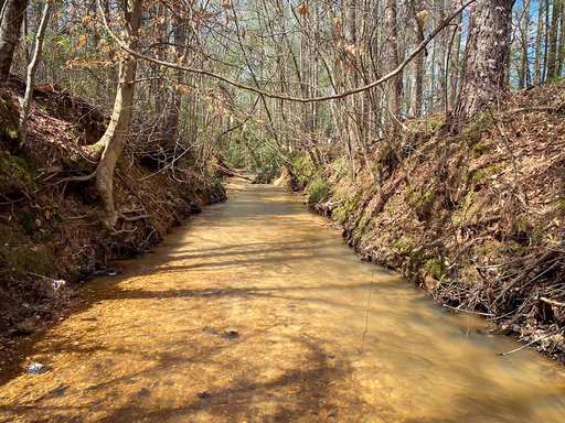 Channelized stream at Walton Creek Mitigation Bank before restoration.