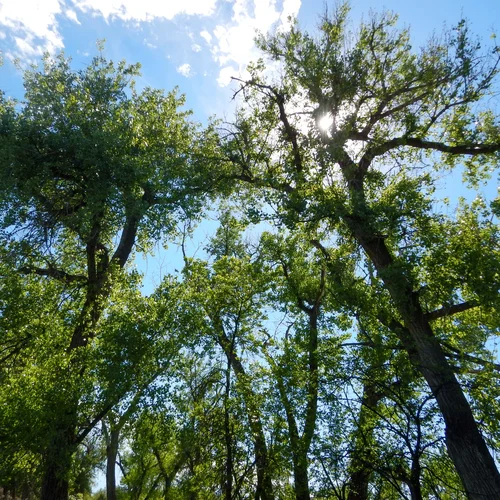 confluence 011_edited