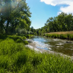 confluence 021_edited