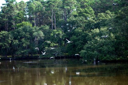 Charleston, South Carolina