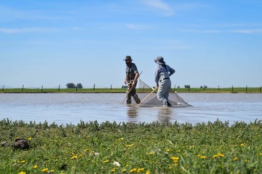 content-news-single-2