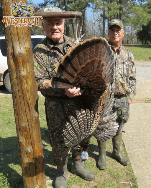 gallery-turkey-trophy-3