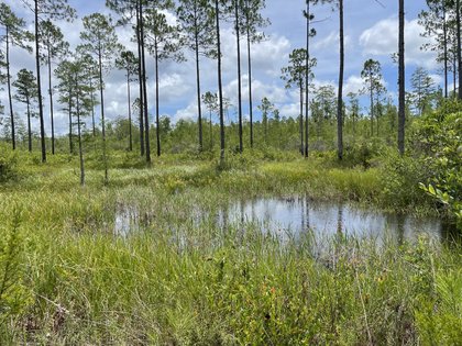 Tallahassee, Florida