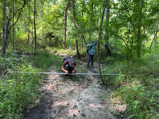 photo-ce9e150f-3543-4b57-a717-db94d9acec6c