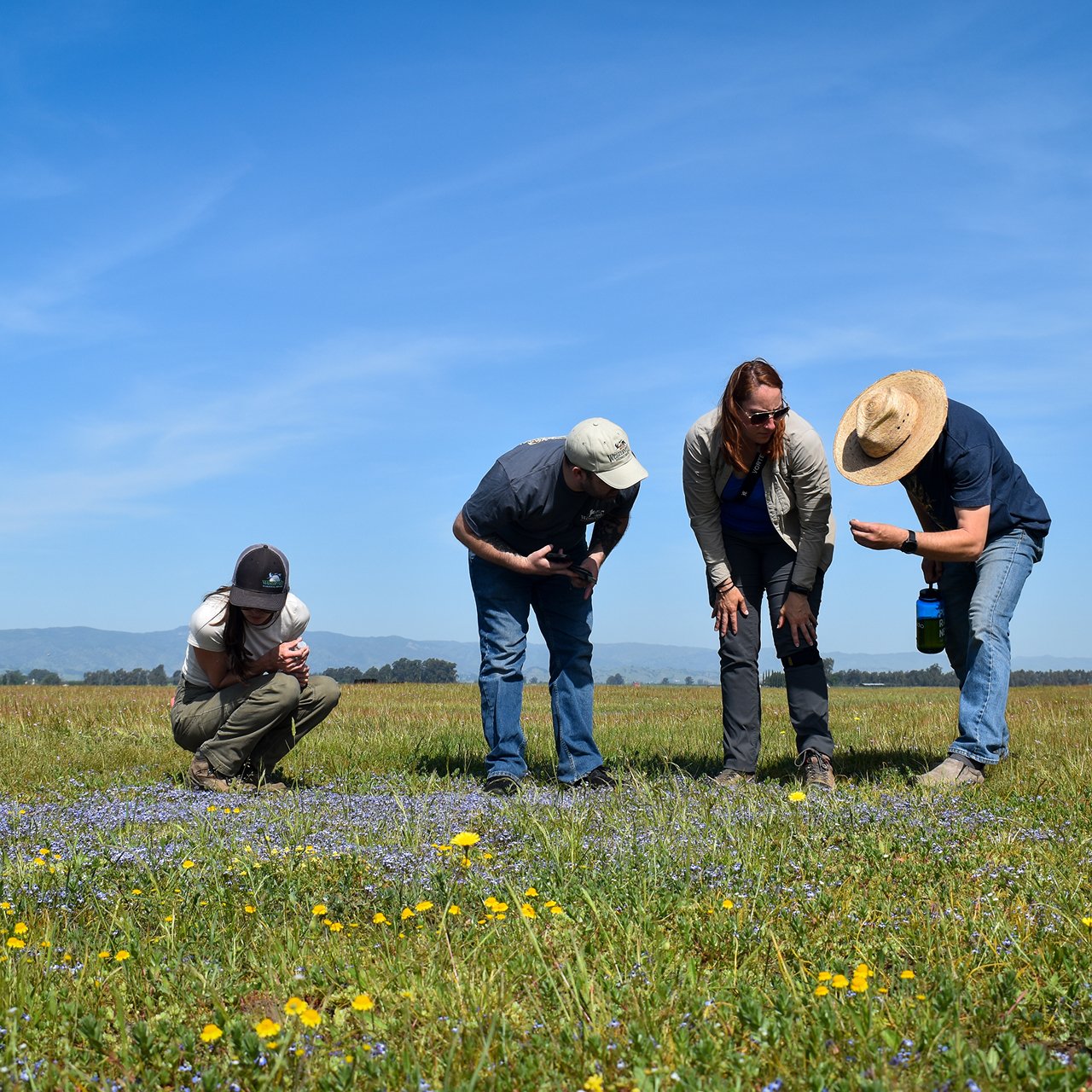 The Westervelt Foundation seeks to impact organizations in our communities through charitable giving and employee volunteerism.