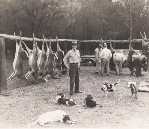 westervelt-lodge-history-1951