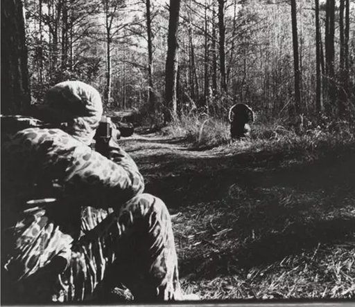 westervelt-lodge-history-1988