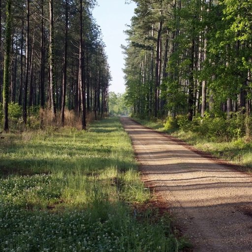 westervelt-wildlife-premium-hunting-across-the-southeast