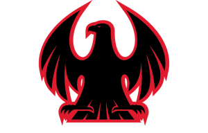 Logo Image