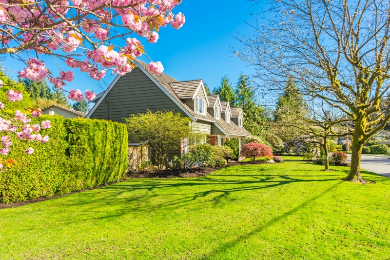 Suburban home with a large yard during spring