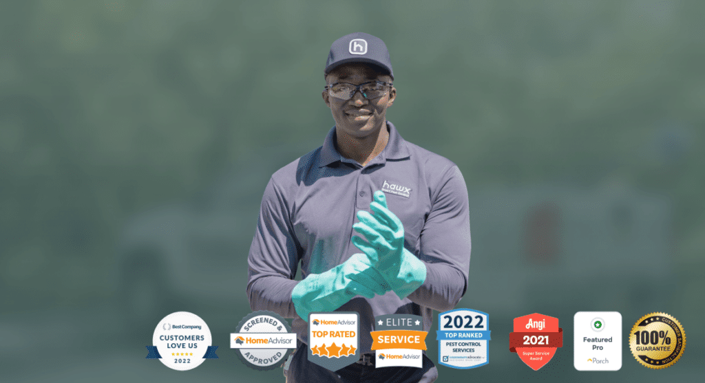 Pest Control Services Hawx Pest Control