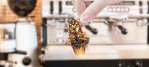 person holding a cockroach in front of an espresso machine