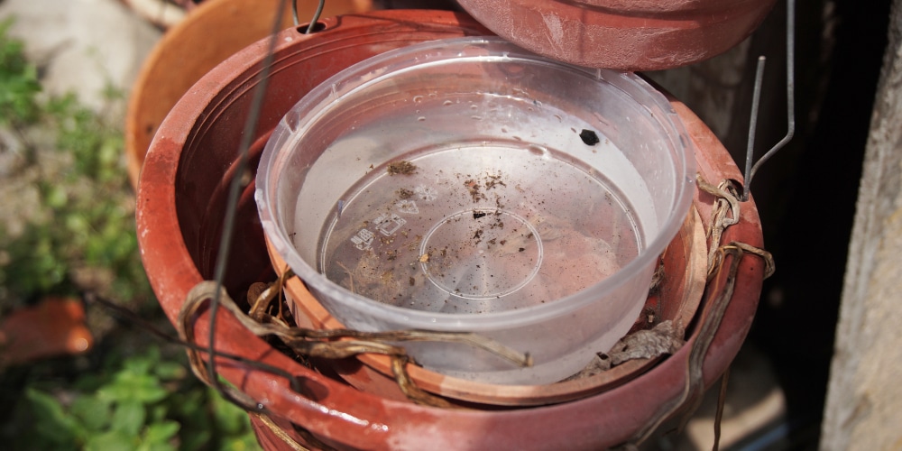 abandoned plastic bowl inside a vase with stagnant water inside. close up view. potential mosquitoes breeding ground.