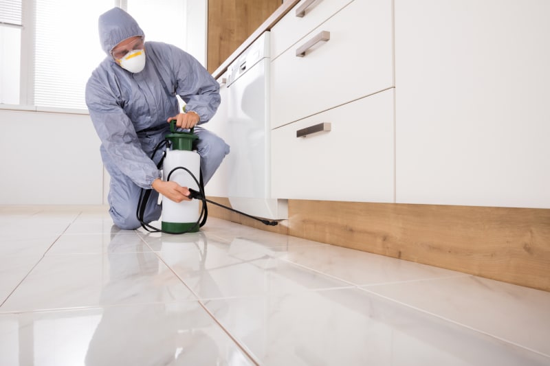 Exterminator In Workwear Spraying Pesticide With Sprayer in a kitchen