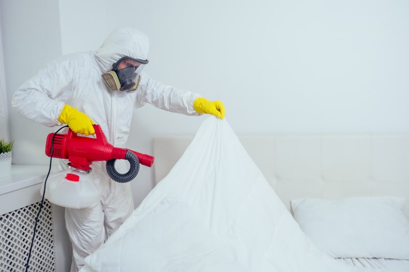 exterminator spraying insecticide in bedroom