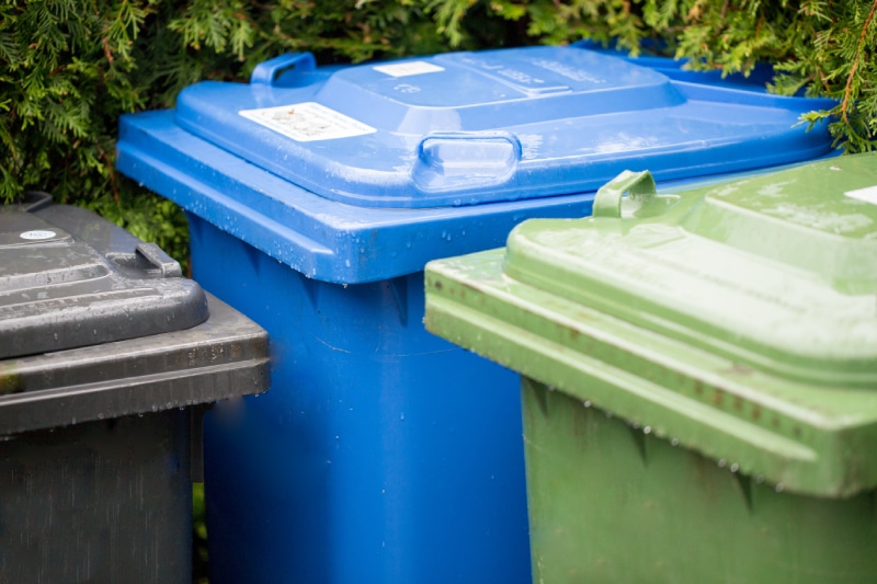 How to Rat-Proof Garbage Cans & Your Home - Trash Cans Unlimited