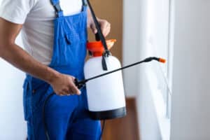 Professional pest control worker spraying the inside of a home