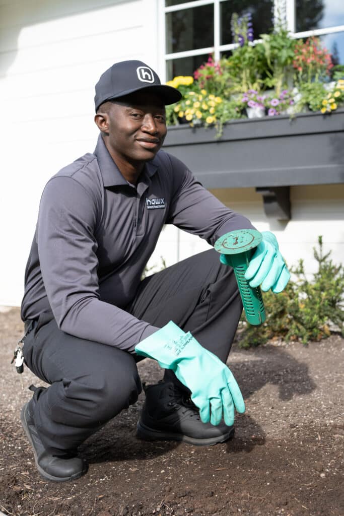 termites service Hawx Pest Control
