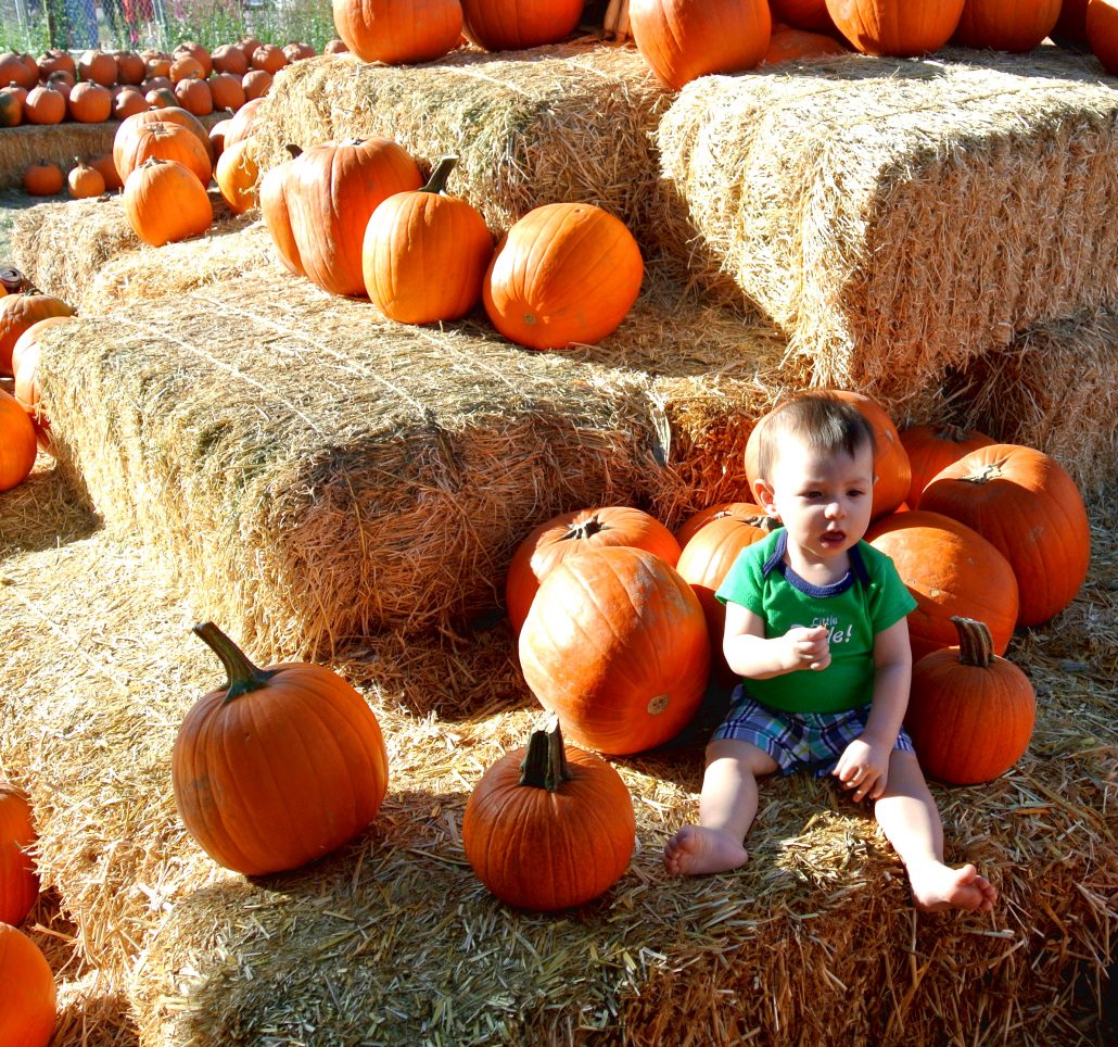 baby-cj pumpkin, patch, october, autumn, fall, local, phoenix, gilbert, az, arizona, activities, fun, family, kids, season, halloween, gift, candy, carving, bouncy castle, maze, baby, first. adventure, venture, new, parents
