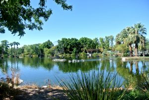 zoo, phoenix, AZ, activity, things to do, outdoor, exhibit, animals, family, special, LEGO, Fall, Autumn, venture, adventure, baby, parents, wild life, train, 4d, theater, gift, shop, lake