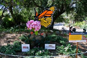 zoo, phoenix, AZ, activity, things to do, outdoor, exhibit, animals, family, special, LEGO, Fall, Autumn, venture, adventure, baby, parents, wild life, train, 4d, theater, gift, shop, lake