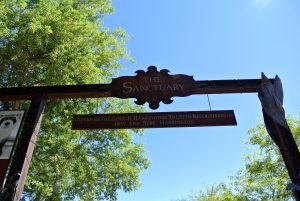 zoo, phoenix, AZ, activity, things to do, outdoor, exhibit, animals, family, special, LEGO, Fall, Autumn, venture, adventure, baby, parents, wild life, train, 4d, theater, gift, shop, lake