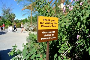 zoo, phoenix, AZ, activity, things to do, outdoor, exhibit, animals, family, special, LEGO, Fall, Autumn, venture, adventure, baby, parents, wild life, train, 4d, theater, gift, shop, lake