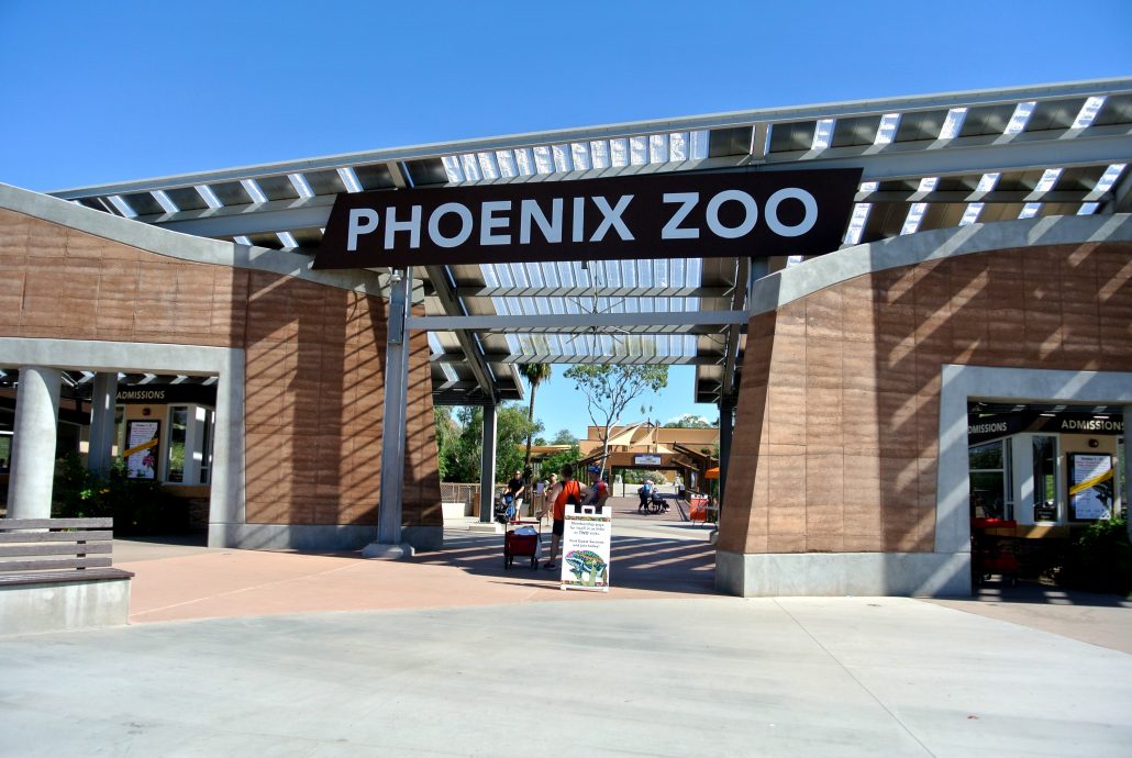 zoo, phoenix, AZ, activity, things to do, outdoor, exhibit, animals, family, special, LEGO, Fall, Autumn, venture, adventure, baby, parents, wild life, train, 4d, theater, gift, shop, lake