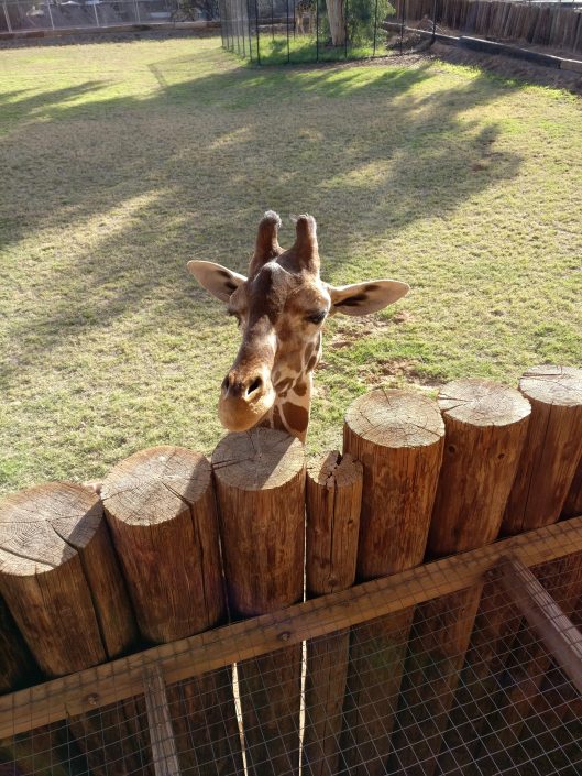 Phoenix, AZ: Wildlife World Zoo, Aquarium, and Safari Park – Little
