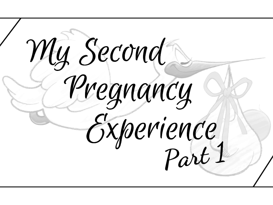 second, pregnancy, pregnant, experience, personal, motherhood, gender, boy, girl, eating schedule, nausea, vomiting, symptoms, sleeping, insomnia, obgyn, ultrasound, trimester, weeks, toddler, expecting, number 2, baby, child, children, family, preggo, ailments, 2017